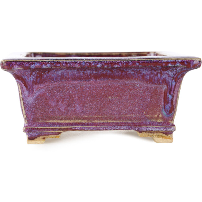 Maceta rectangular morada para bonsái de Keiun Fukuda - 158 x 135 x 60 mm