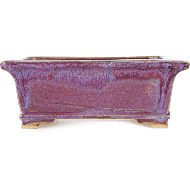 Pot à bonsaï rectangulaire violet de Keiun Fukuda - 158 x 135 x 60 mm