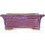 Maceta rectangular morada para bonsái de Keiun Fukuda - 158 x 135 x 60 mm