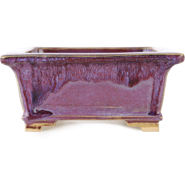 Pot à bonsaï rectangulaire violet de Keiun Fukuda - 158 x 135 x 60 mm