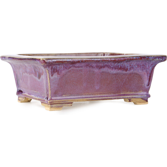 Maceta rectangular morada para bonsái de Keiun Fukuda - 158 x 135 x 60 mm