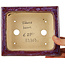 Pot à bonsaï rectangulaire violet de Keiun Fukuda - 158 x 135 x 60 mm