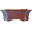 Rectangular blue and red bonsai pot by Eime Yozan - 185 x 155 x 65 mm