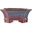 Rectangular blue and red bonsai pot by Eime Yozan - 185 x 155 x 65 mm