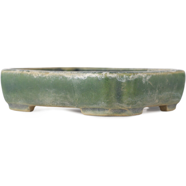 Vaso bonsai rettangolare verde di Kohshunosai - 120 x 95 x 30 mm