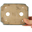 Pot à bonsaï rectangulaire vert de Kohshunosai - 120 x 95 x 30 mm