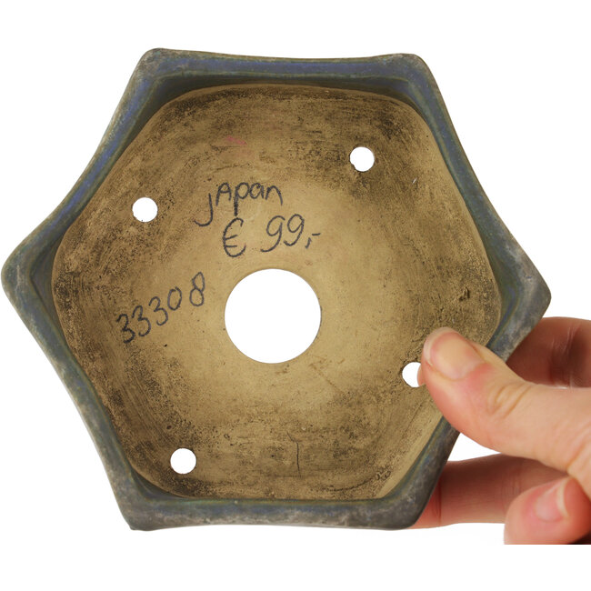 Pot à bonsaï hexagonal bleu - 115 x 115 x 35 mm