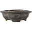 Pot à bonsaï Mokko noir de Takao Kouyo - 145 x 115 x 35 mm