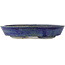 Pot à bonsaï ovale bleu - 170 x 130 x 30 mm