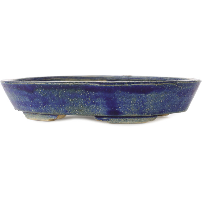 Pot à bonsaï ovale bleu - 170 x 130 x 30 mm