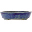 Oval blue bonsai pot - 170 x 130 x 30 mm