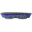 Pot à bonsaï ovale bleu - 170 x 130 x 30 mm