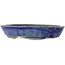 Ovale blauwe bonsai pot - 170 x 130 x 30 mm