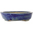 Oval blue bonsai pot - 170 x 130 x 30 mm