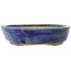 Pot à bonsaï ovale bleu - 170 x 130 x 30 mm