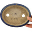 Pot à bonsaï ovale bleu - 170 x 130 x 30 mm