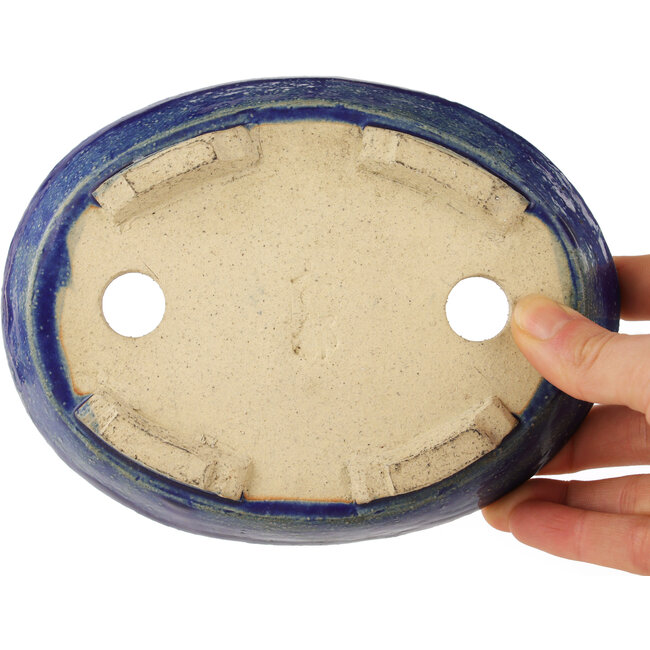 Pot à bonsaï ovale bleu - 170 x 130 x 30 mm