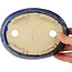 Pot à bonsaï ovale bleu - 170 x 130 x 30 mm