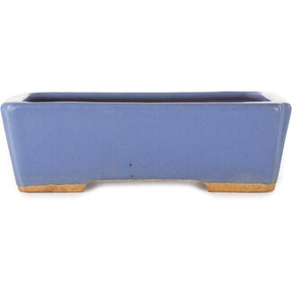 Hattori Tomoyuki 160 mm rectangular blue bonsai pot by Hattori, Tokoname, Japan