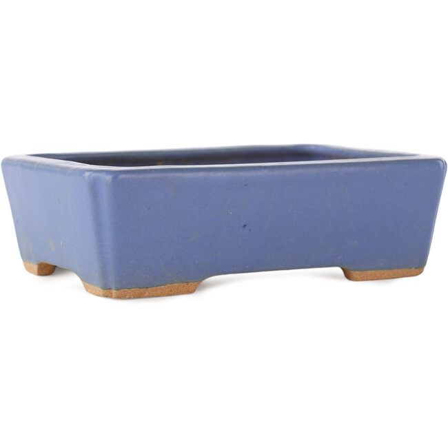 Pot à bonsaï rectangulaire bleu par Hattori - 160 x 115 x 50 mm