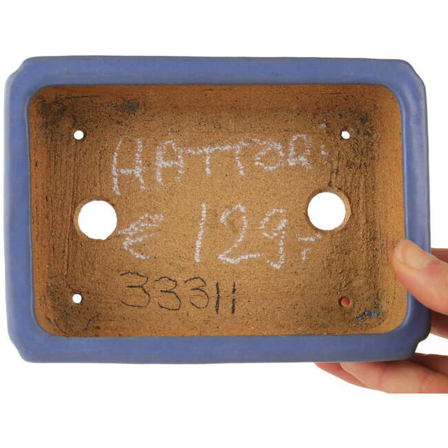 Maceta rectangular azul para bonsái de Hattori - 160 x 115 x 50 mm