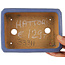 Pot à bonsaï rectangulaire bleu par Hattori - 160 x 115 x 50 mm