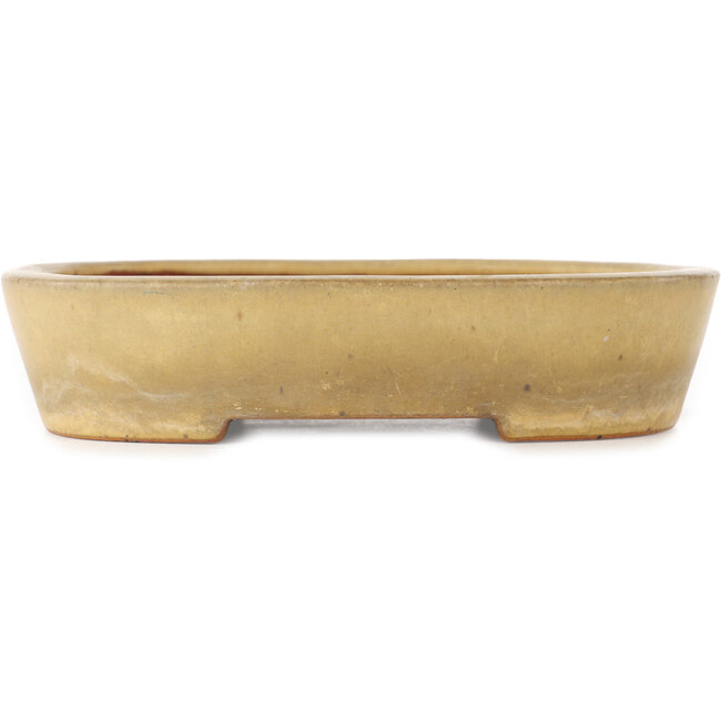 Oval beige bonsai pot by Reiho - 170 x 140 x 38 mm