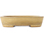 Oval beige bonsai pot by Reiho - 170 x 140 x 38 mm