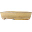 Oval beige bonsai pot by Reiho - 170 x 140 x 38 mm