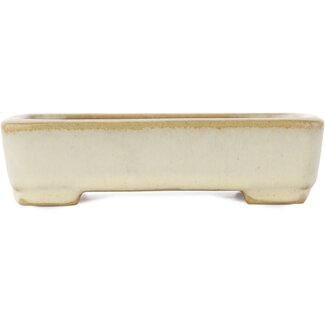  Yamafusa - Takehiko Koie 135 mm rectangular white bonsai pot by Yamafusa, Tokoname, Japan