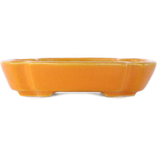  Other Japanese bonsai pot makers Olla japonesa de color naranja mokko de 113 mm