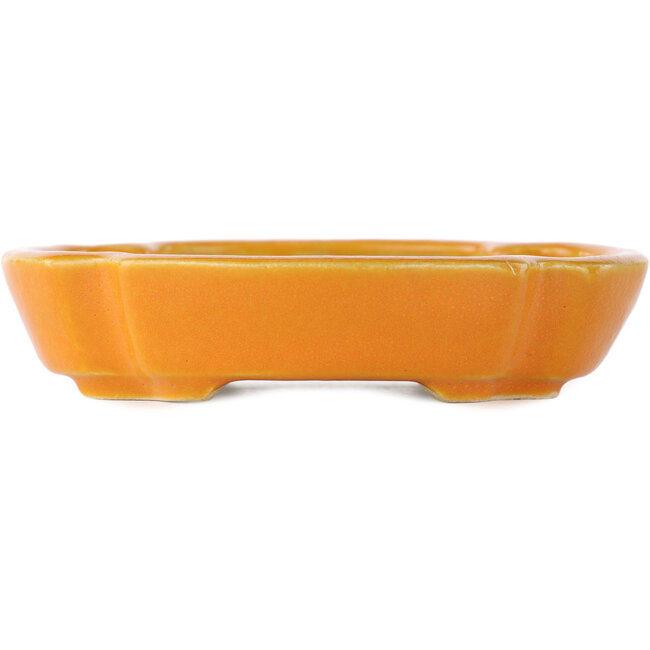 Pot à bonsaï orange mokko - 113 x 95 x 25 mm