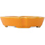 Pot à bonsaï orange mokko - 113 x 95 x 25 mm
