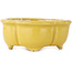 Mokko yellow bonsai pot by Fuka - 75 x 65 x 30 mm