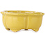 Mokko yellow bonsai pot by Fuka - 75 x 65 x 30 mm