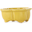 Mokko yellow bonsai pot by Fuka - 75 x 65 x 30 mm