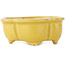 Mokko yellow bonsai pot by Fuka - 75 x 65 x 30 mm