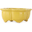 Mokko yellow bonsai pot by Fuka - 75 x 65 x 30 mm