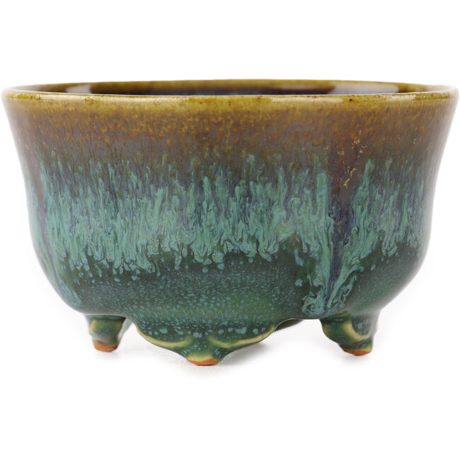 Runder grüner und brauner Bonsai-Topf von Fuka - 80 x 80 x 48 mm