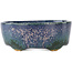 Oval blue multicolor bonsai pot by Fuka - 70 x 60 x 28 mm