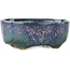 Pot à bonsaï ovale multicolore bleu de Fuka - 70 x 60 x 28 mm