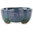 Oval blue multicolor bonsai pot by Fuka - 70 x 60 x 28 mm