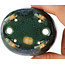 Pot à bonsaï ovale multicolore bleu de Fuka - 70 x 60 x 28 mm