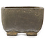 Rectangular unglazed bonsai pot - 60 x 50 x 30 mm