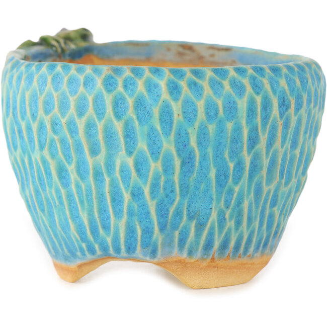 Round blue bonsai pot by Masashi Furumoto - 80 x 85 x 60 mm