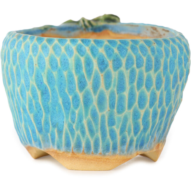 Ronde blauwe bonsaipot van Masashi Furumoto - 80 x 85 x 60 mm