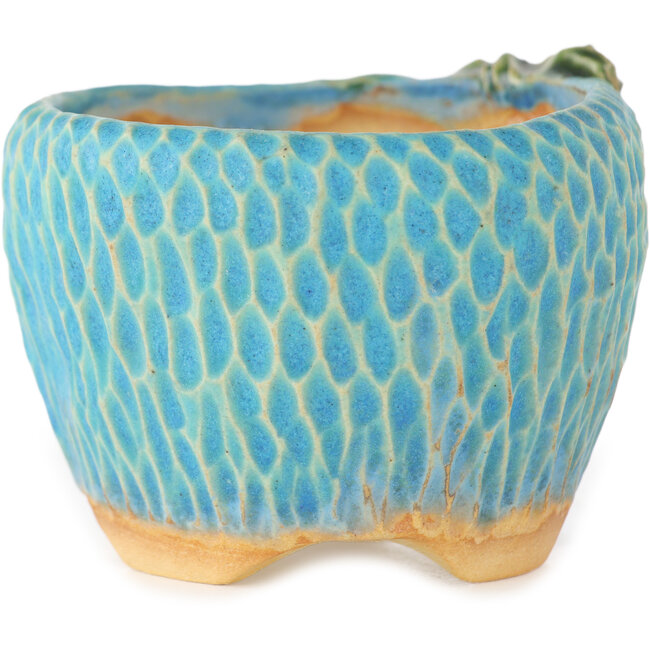 Vaso bonsai rotondo blu di Masashi Furumoto - 80 x 85 x 60 mm