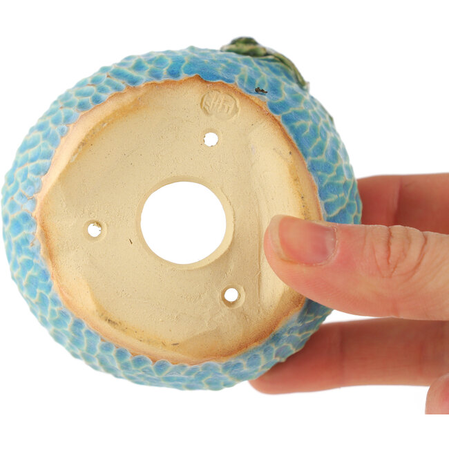 Vaso bonsai rotondo blu di Masashi Furumoto - 80 x 85 x 60 mm