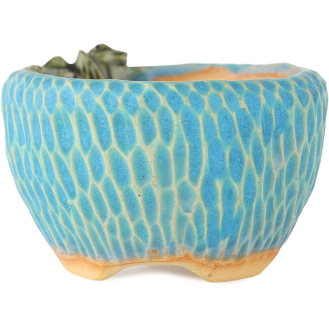 Pot à bonsaï rond bleu par Masashi Furumoto - 85 x 85 x 50 mm