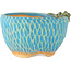 Vaso bonsai rotondo blu di Masashi Furumoto - 85 x 85 x 50 mm